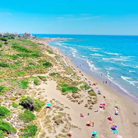 Cabopino, Mimosas